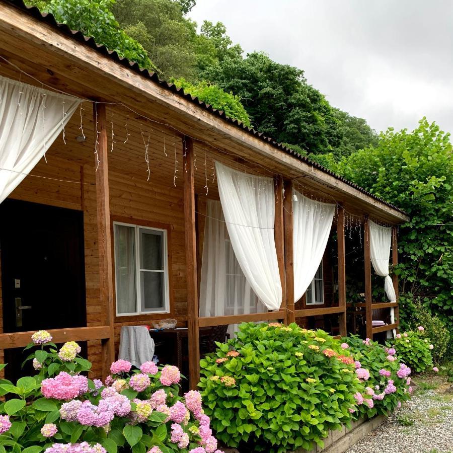 Guest House Ahan Gagry Eksteriør bilde